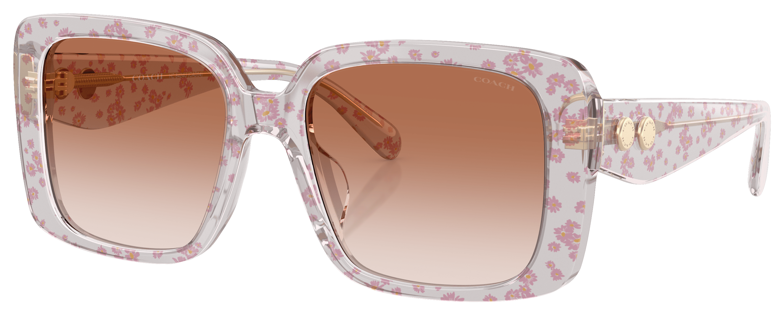 Image of COACH HC8424U Sunglasses for Ladies - Transparent Pink Floral Print/Pink Gradient