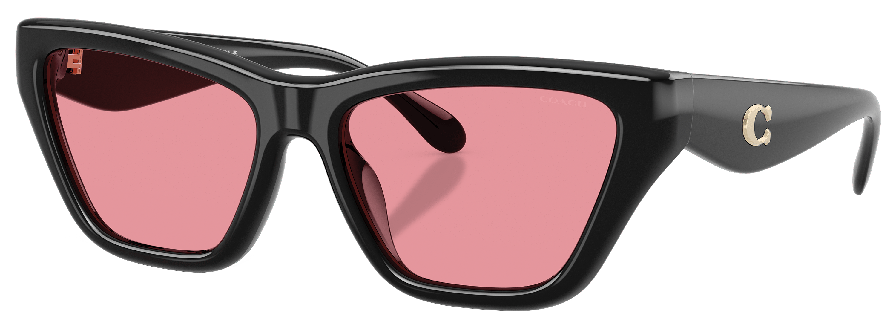 Image of COACH HC8449U Polarized Sunglasses for Ladies