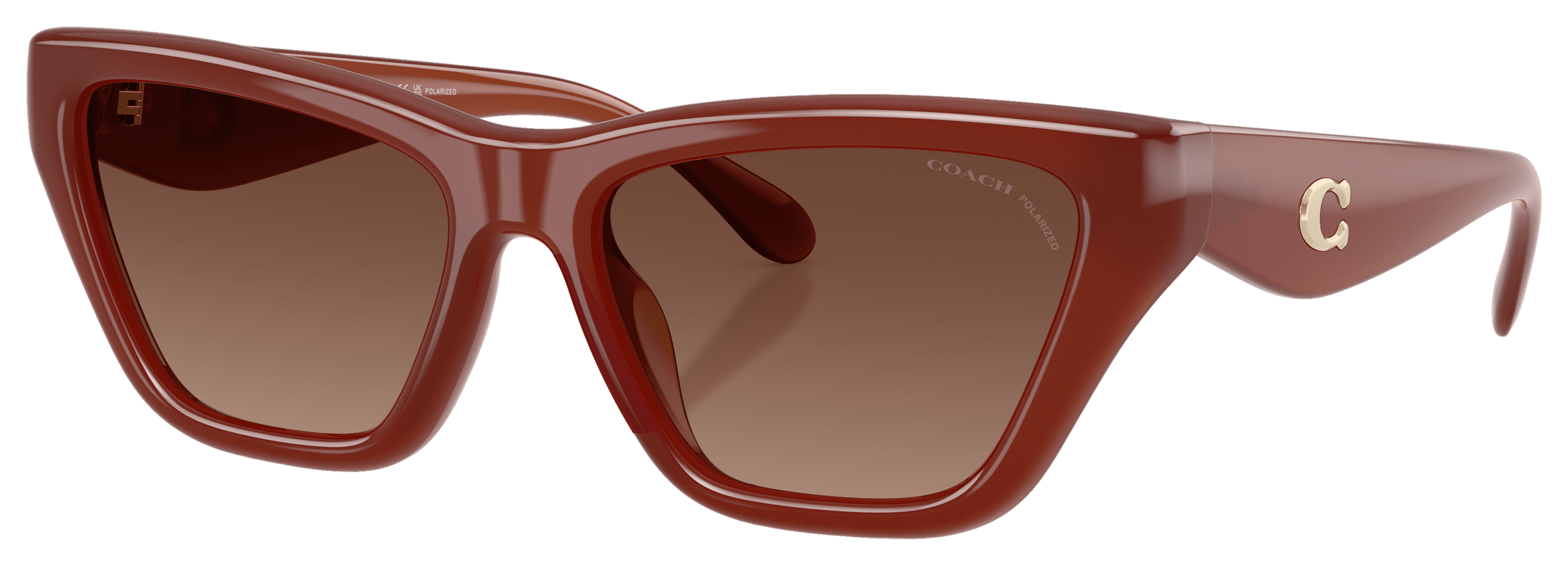 Image of COACH HC8449U Polarized Sunglasses for Ladies