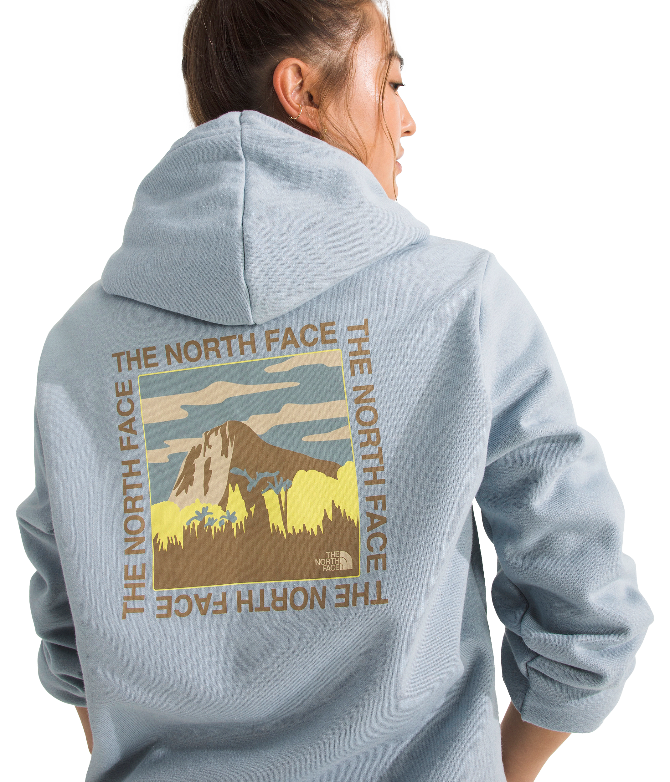 Image of The North Face All Day Beauty Graphic Hoodie - Frost Grey