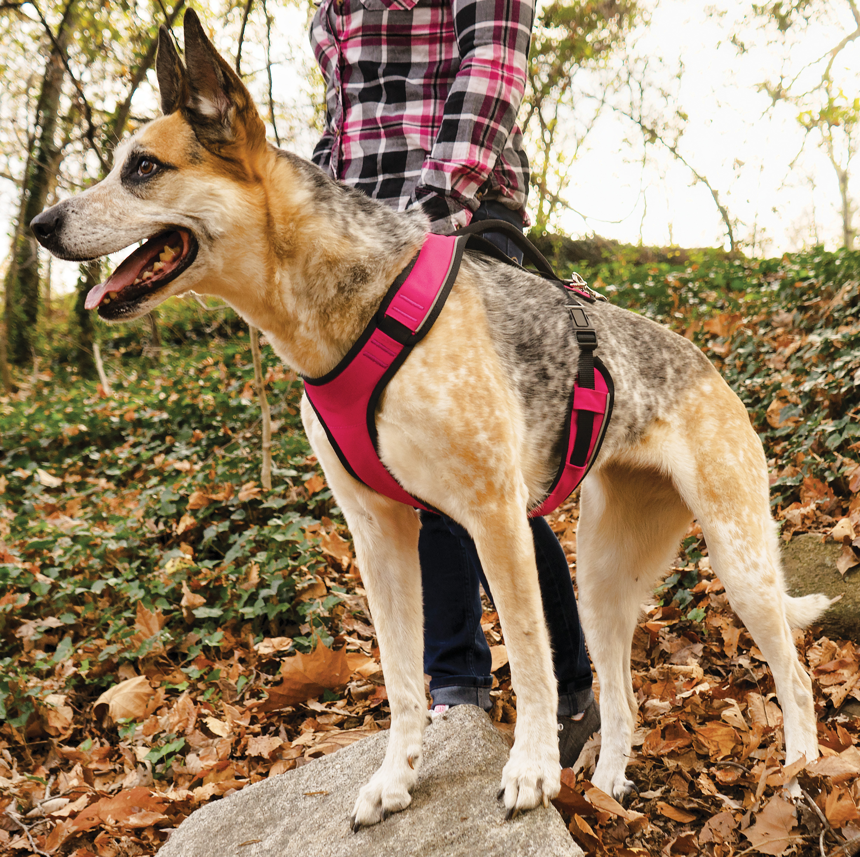 PetSafe EasySport Dog Harness - Pink - Large