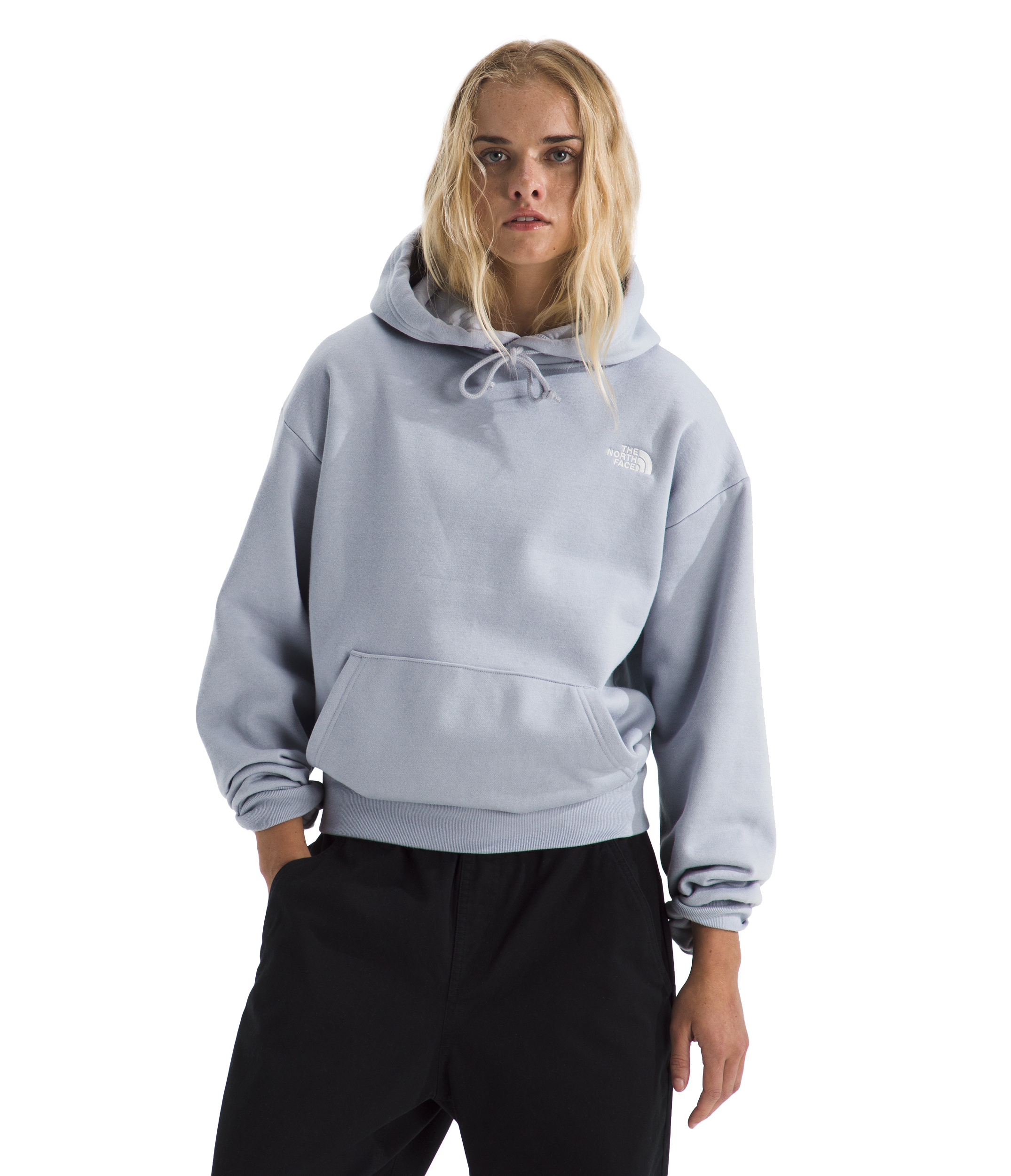 Image of The North Face Evolution Simple Dome Oversized Hoodie - Blue Flax