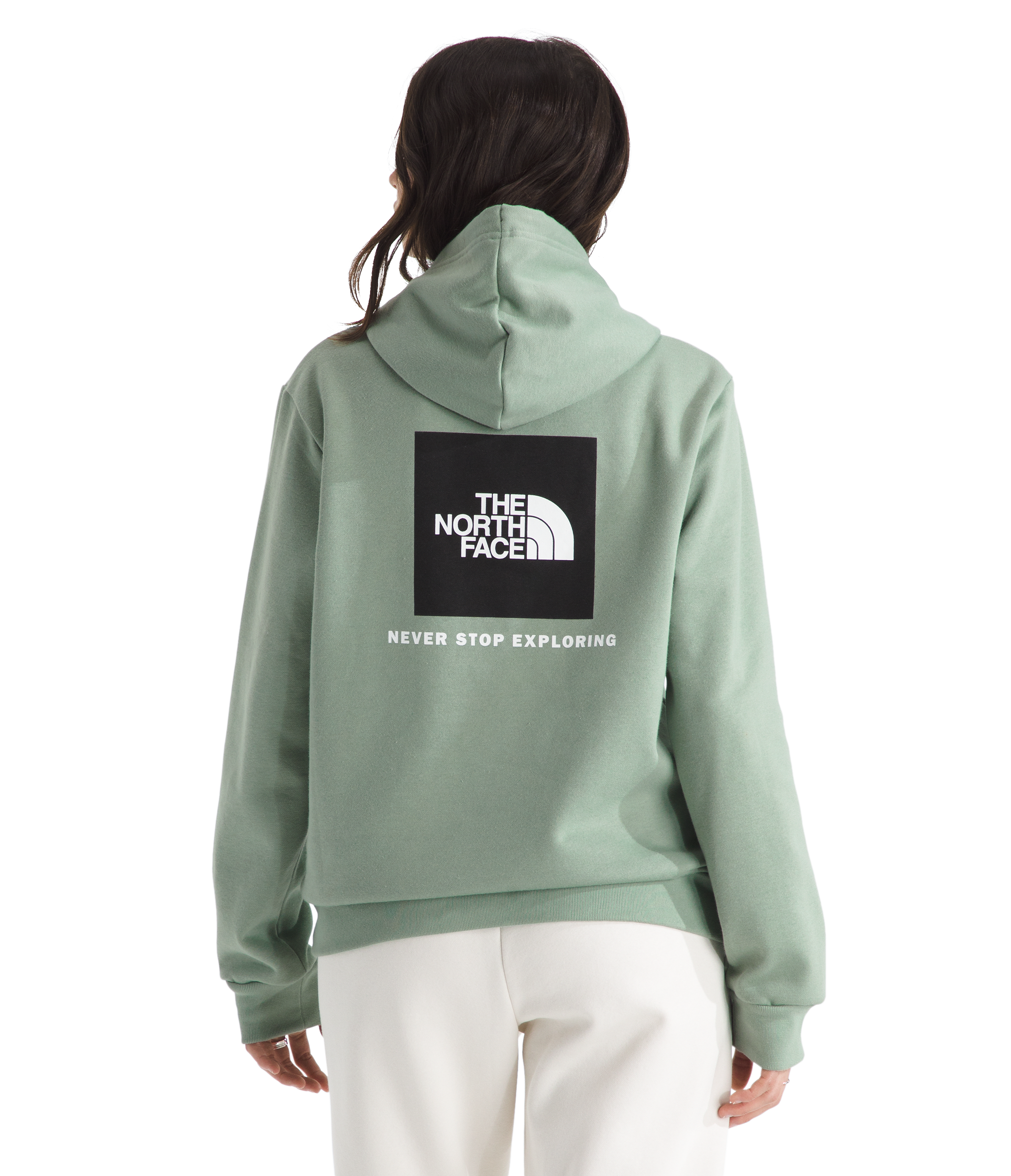 Image of The North Face Evolution Box NSE Hoodie - Slate Moss