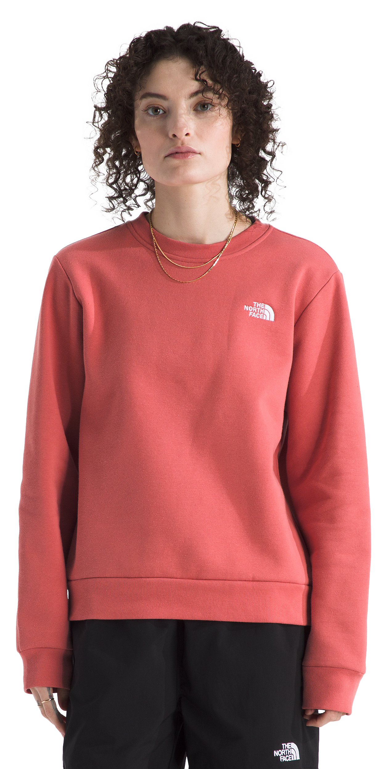 Image of The North Face Evolution Simple Dome Regular Sweatshirt - Mars Dust