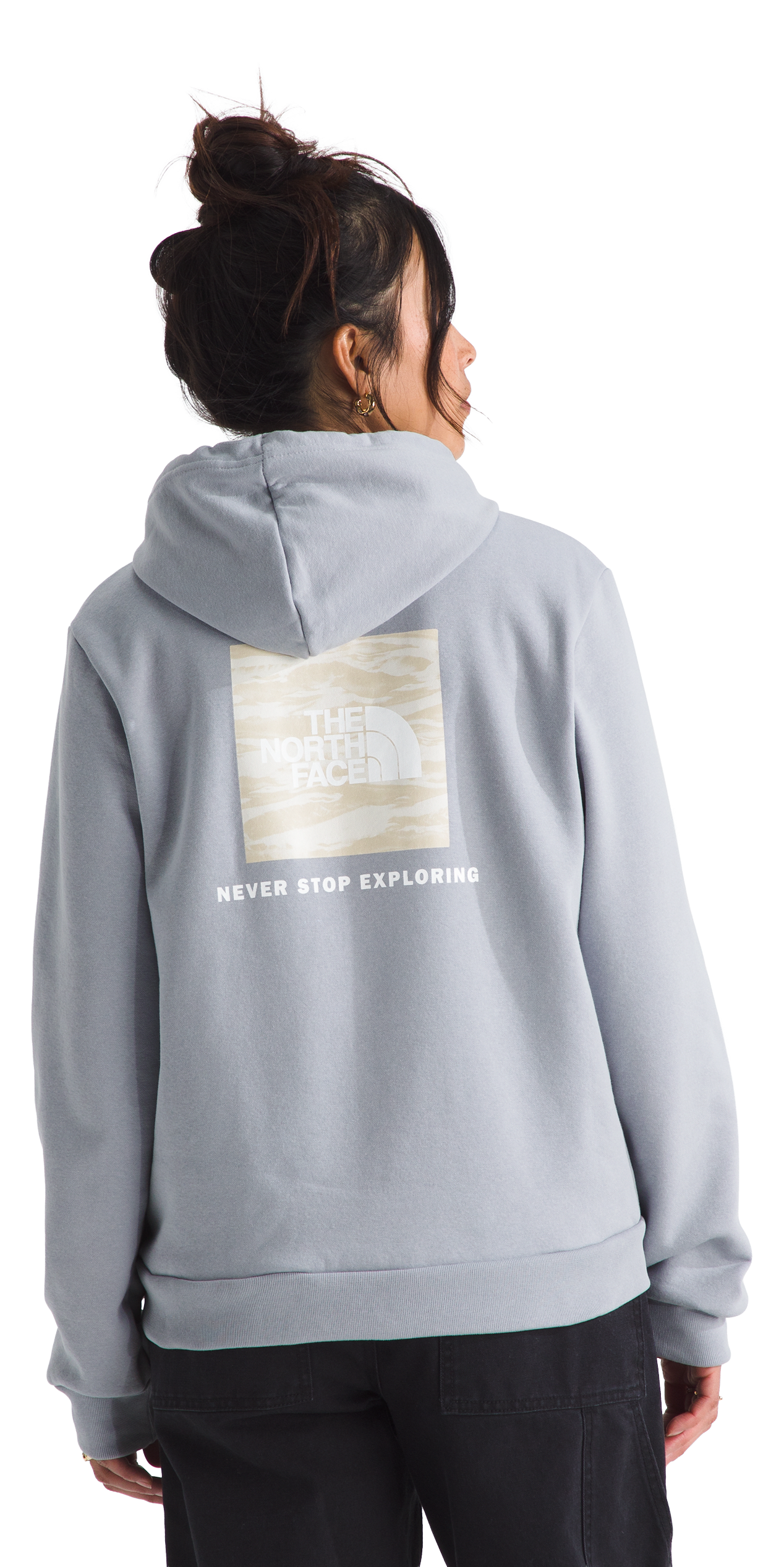 Image of The North Face Evolution Box NSE Graphic Fill Hoodie - Blue Flax