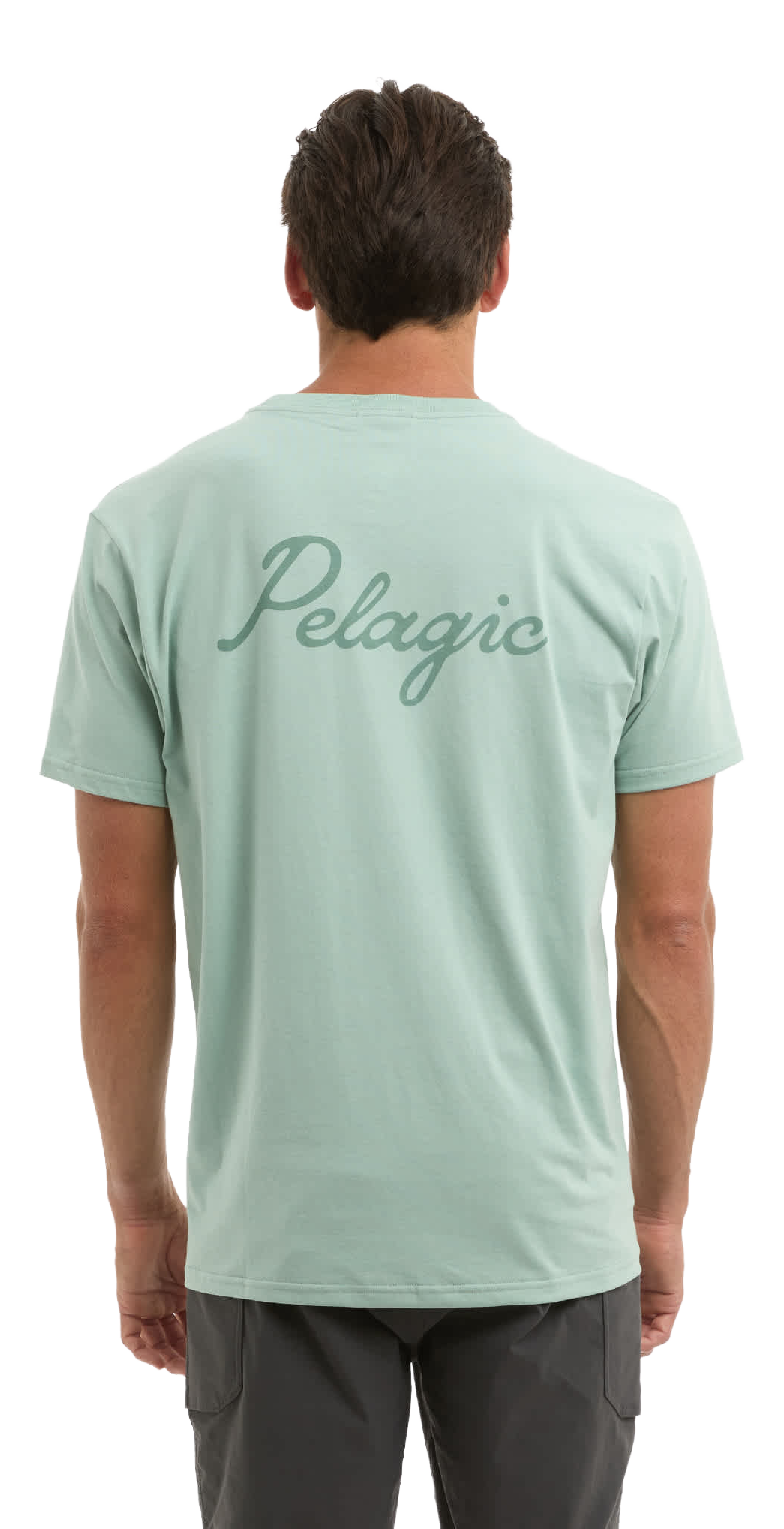 Image of Pelagic Premium Lines In Short-Sleeve T-Shirt - Sage