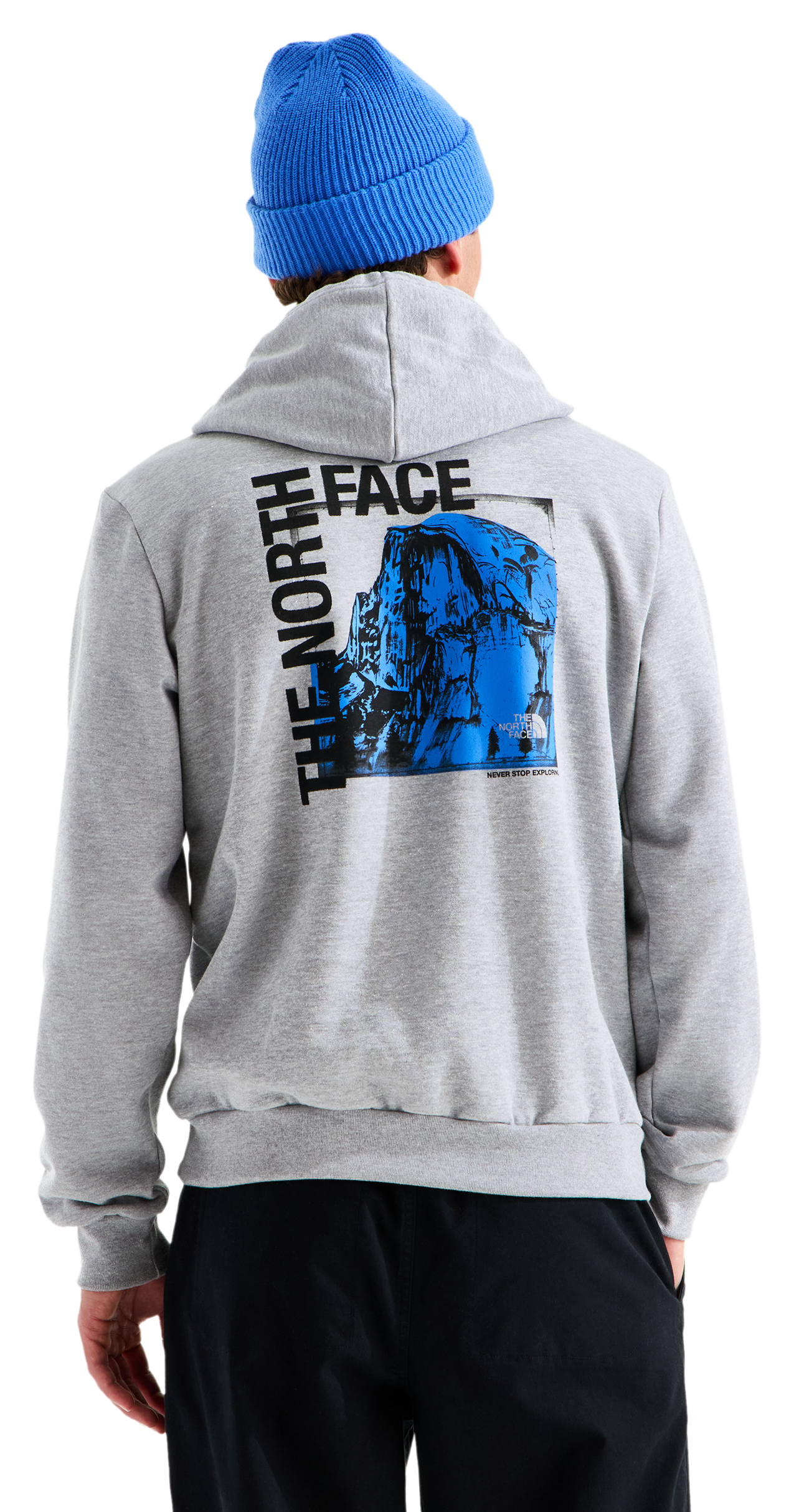 Image of The North Face Evolution Half Dome Photo Hoodie - Pale Grey Heather