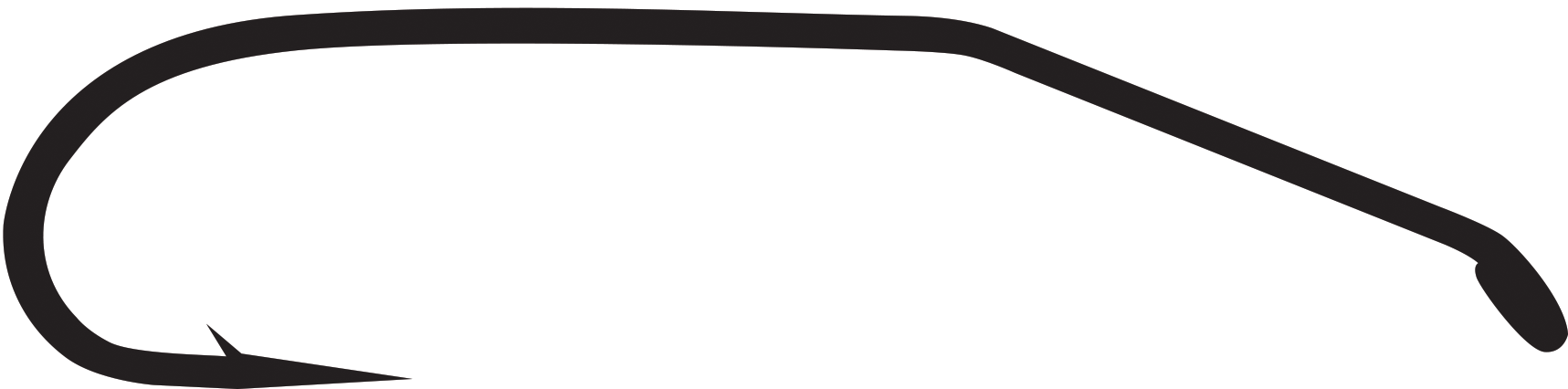 Umpqua U106 Fly Hook - 2