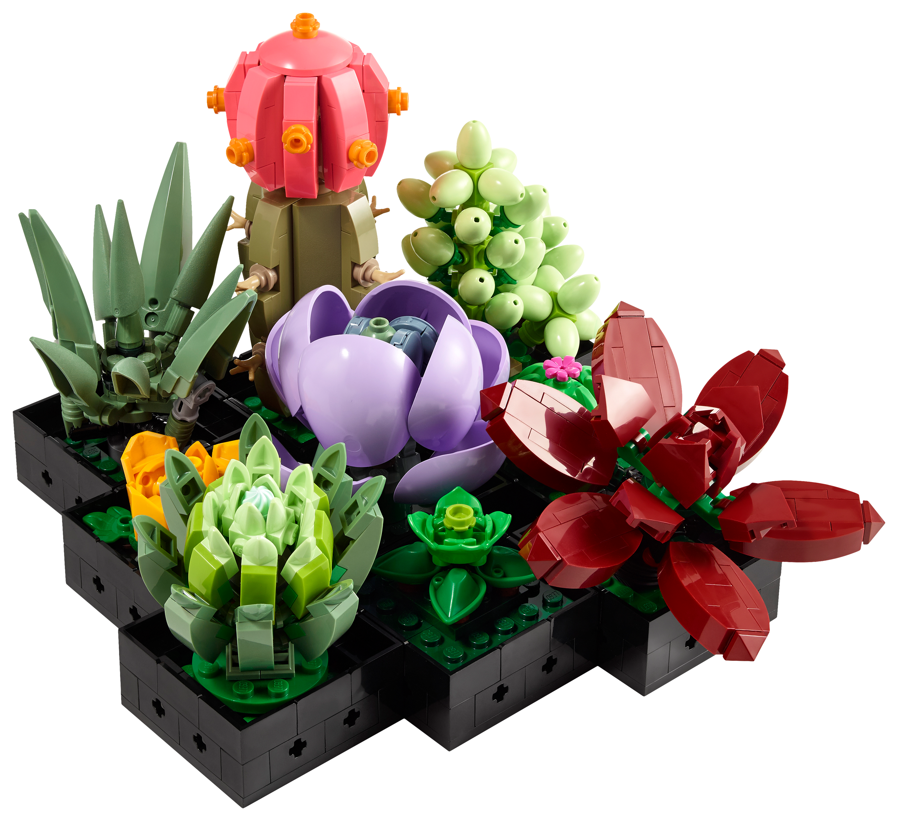 Image of LEGO Botanicals Succulents Set