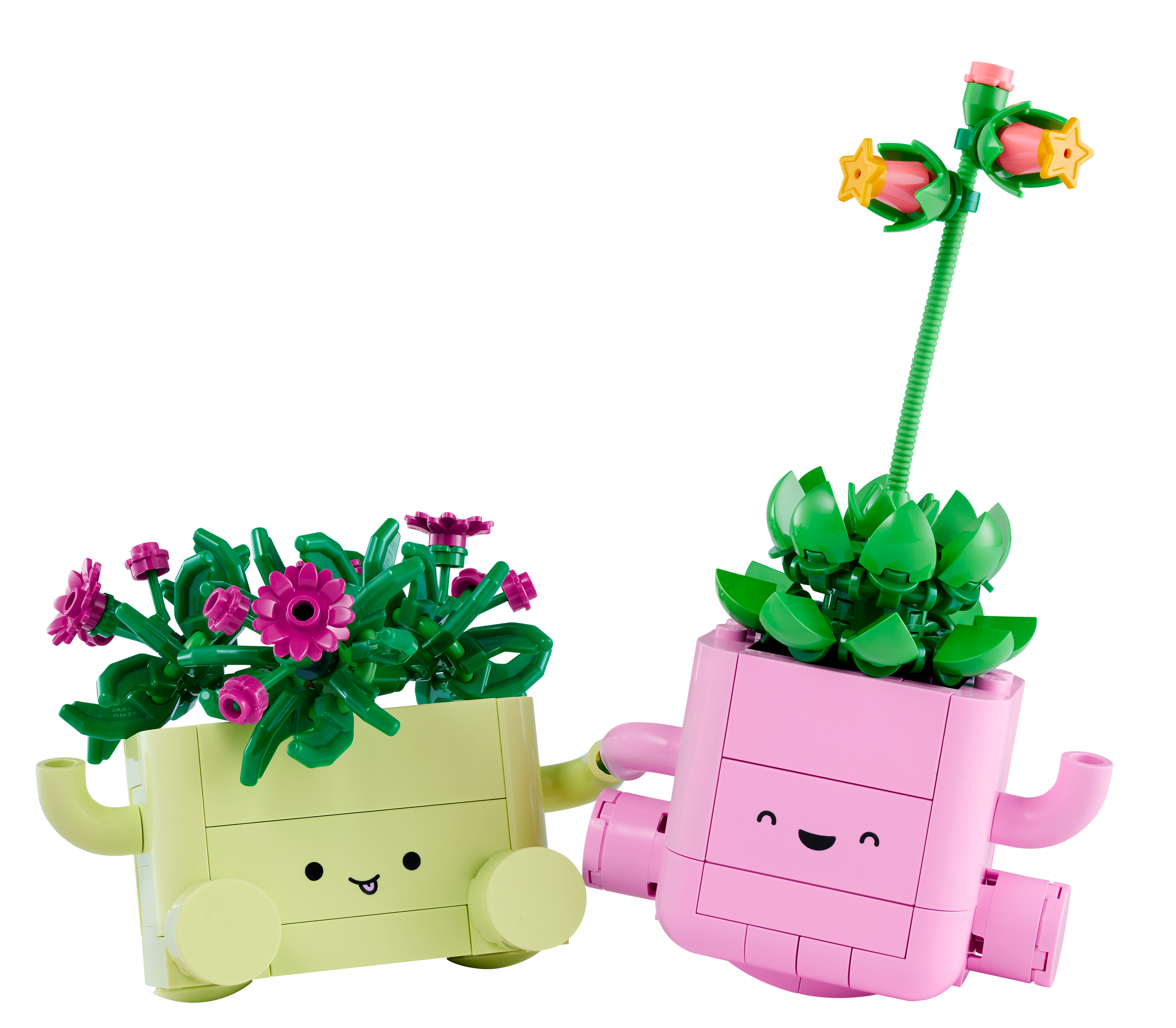 Image of LEGO Botanicals Rocking Plants Set