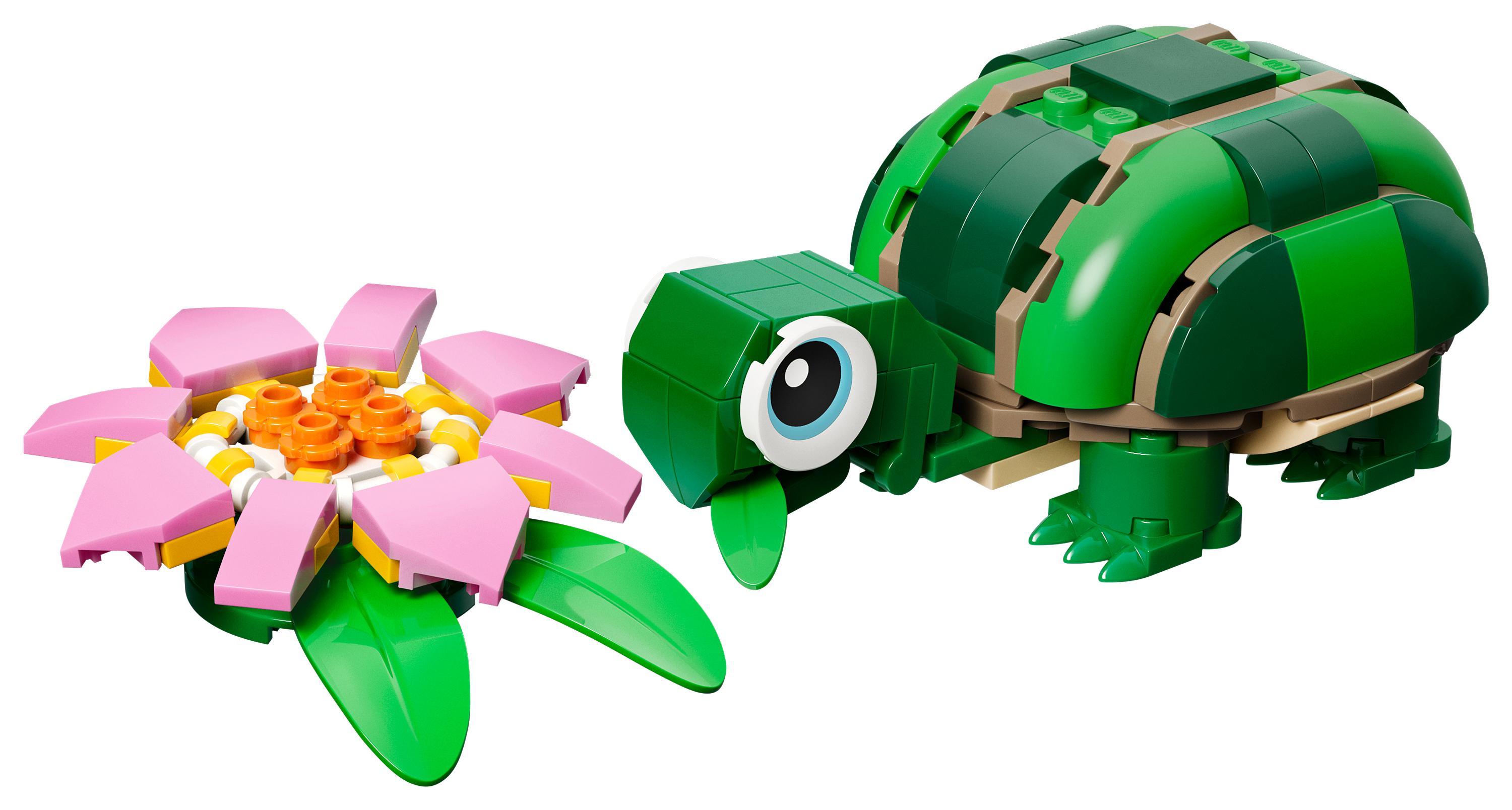 Image of LEGO Creator 3-in-1 Turtle with a Water Lily Flower Set