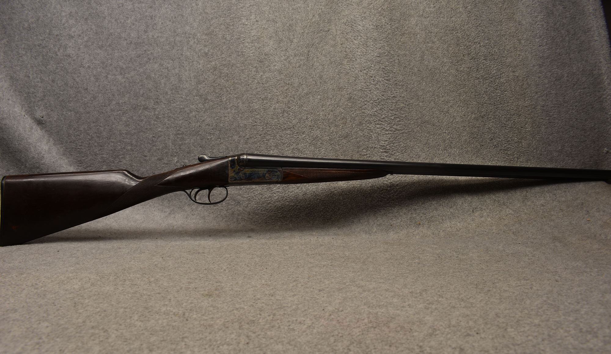 Image of AYA ~ 20 Gauge