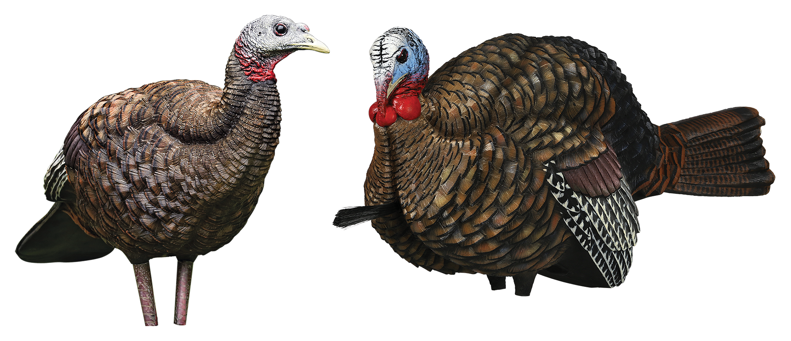 AVIAN-X LCD 1/2 Strut Jake and Breeder Hen Turkey Decoy Combo