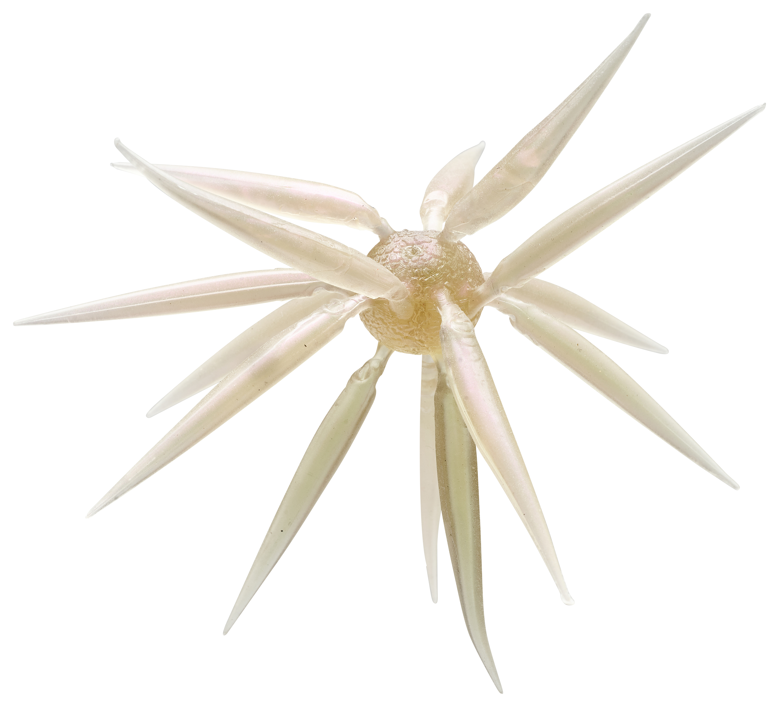 Image of HideUp Coike Fish Elastomer - Clear Wakasagi - 15mm