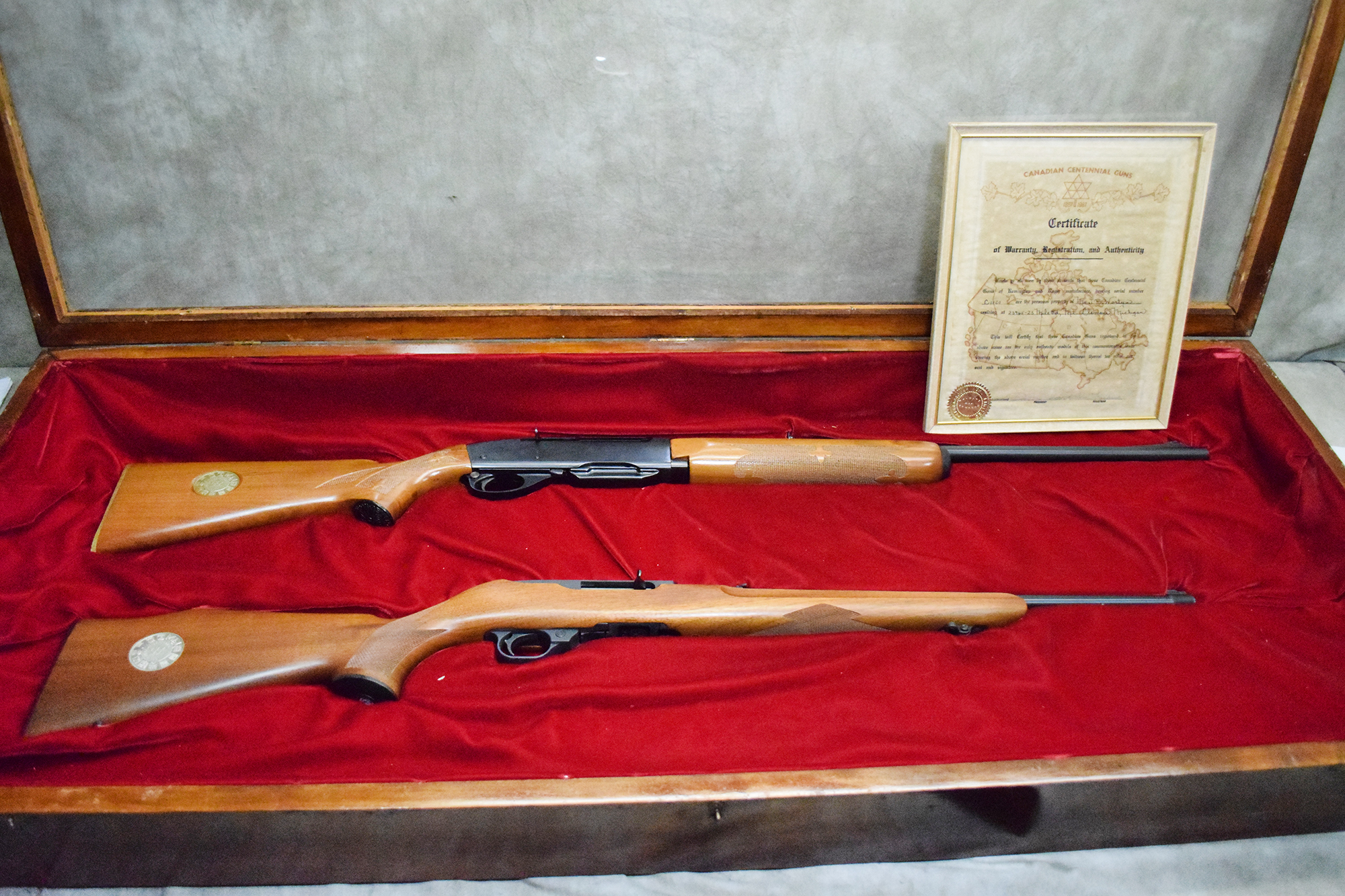Image of Canadian Centennial 1867-1967 Pair~ Ruger 10/22 & Remington 742~.22 long rifle and .308 WIN
