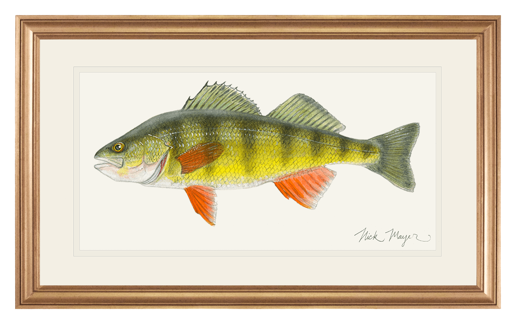 Image of Yellow Perch Original Framed Painting by Nick Mayer