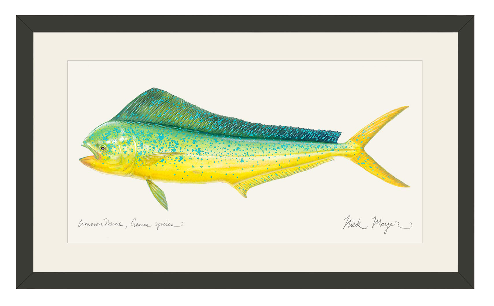 Image of Cow Mahi Open-Edition Framed Print by Nick Mayer