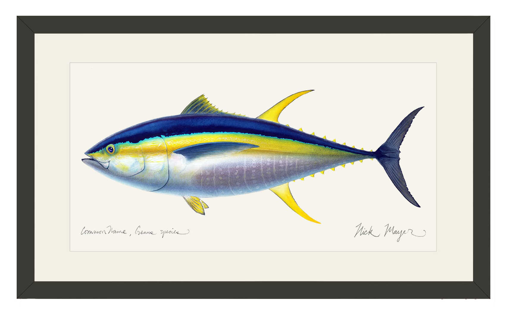 Image of Yellowfin Tuna Open-Edition Framed Print by Nick Mayer