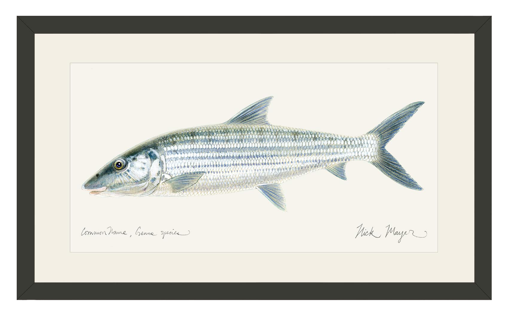 Image of Nick Mayer Bonefish Open-Edition Framed Print