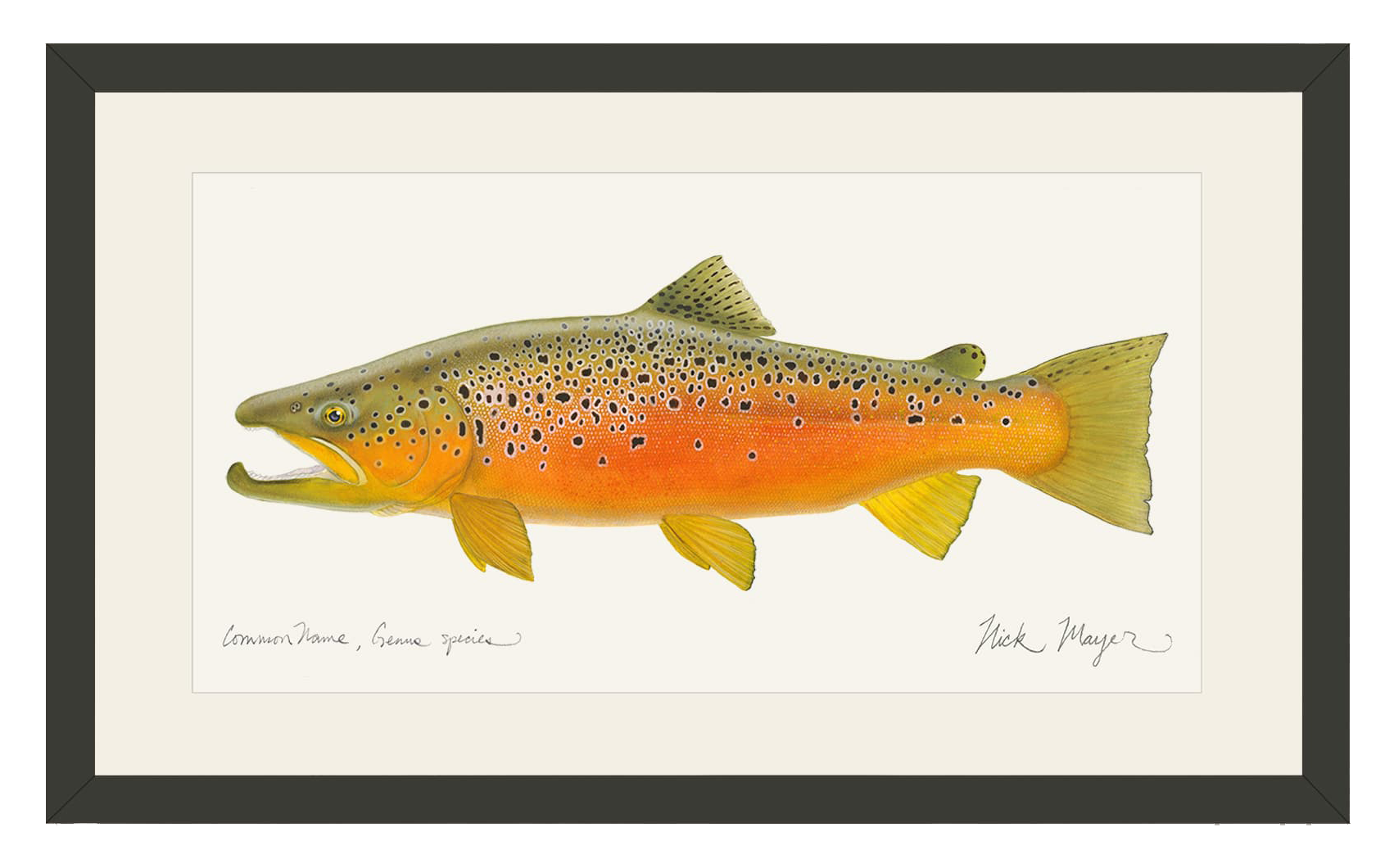 Image of Nick Mayer Brown Trout II Open-Edition Framed Print