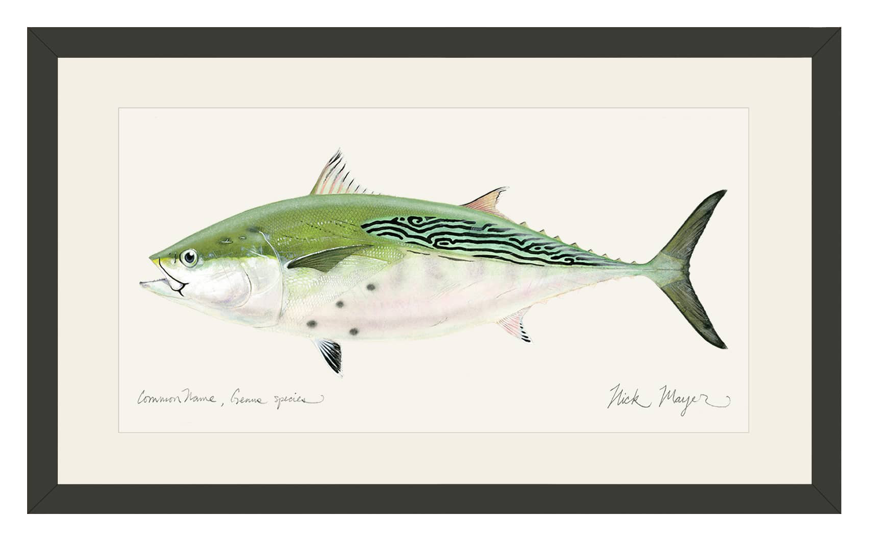 Image of Nick Mayer False Albacore Open-Edition Framed Print
