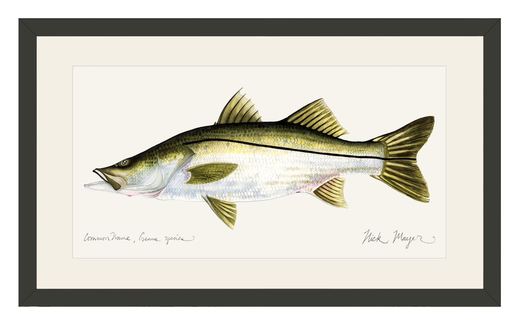 Image of Nick Mayer Snook Open-Edition Framed Print