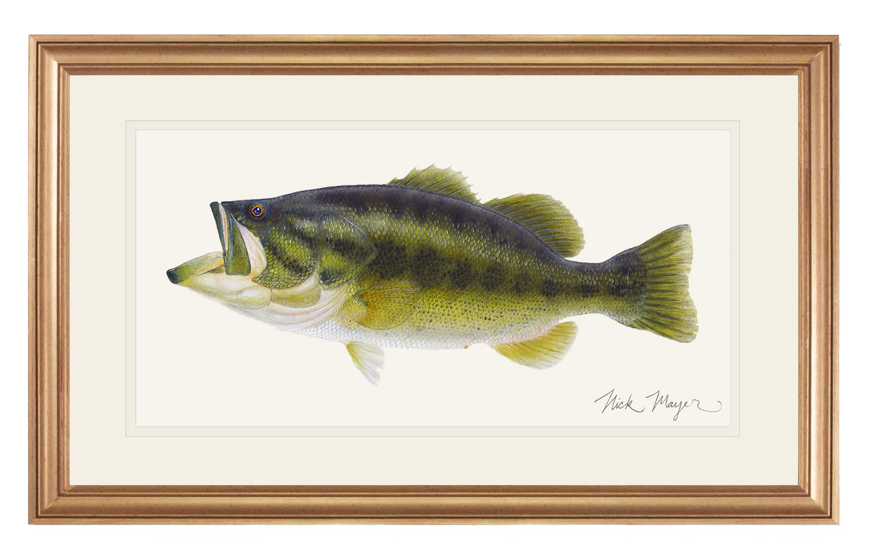 Image of Largemouth Bass Original Framed Painting by Nick Mayer