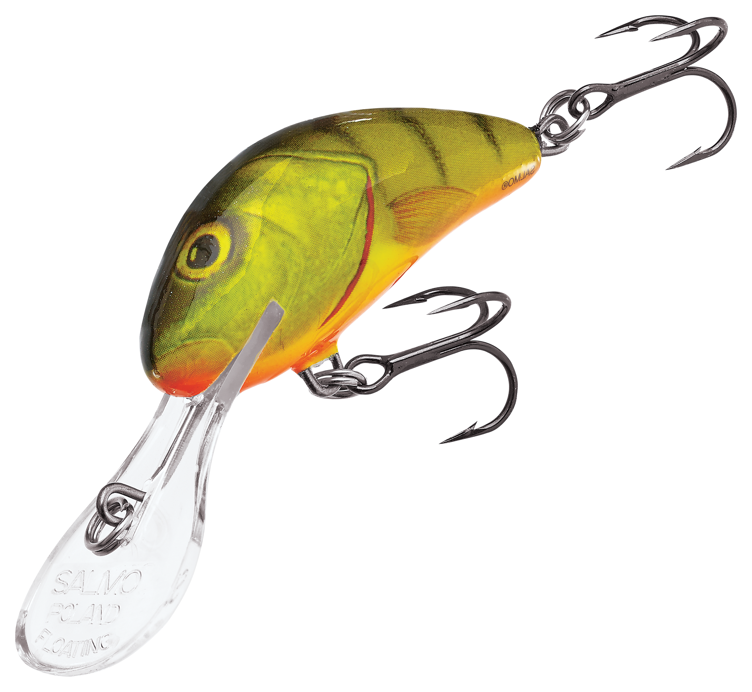 SALMO Hornet Crankbait