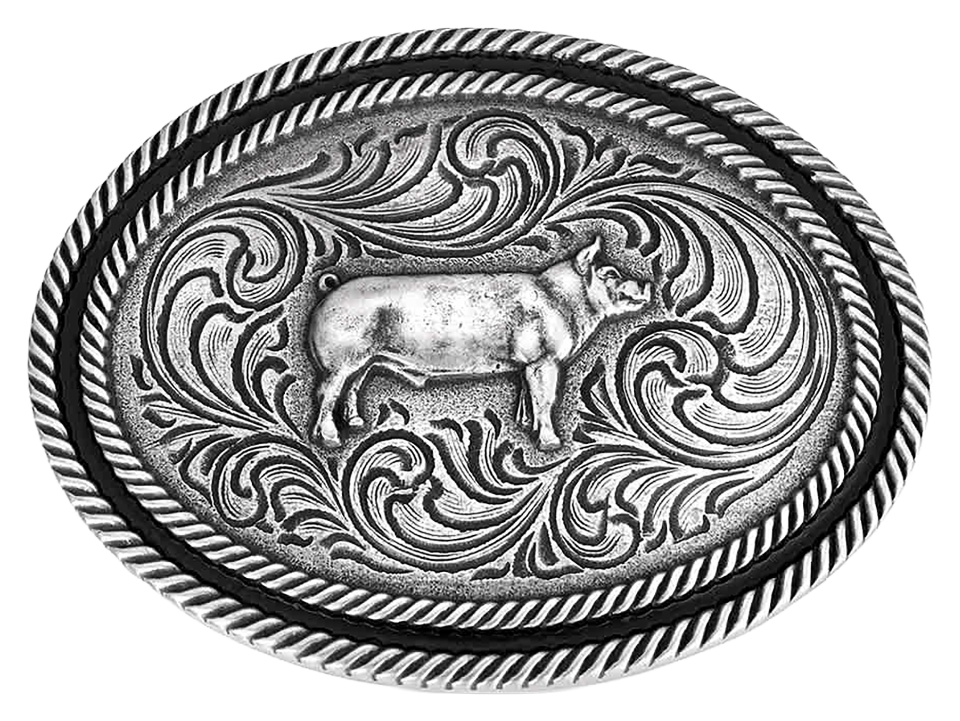 Image of Montana Silversmiths Antiqued Show Hog Belt Buckle