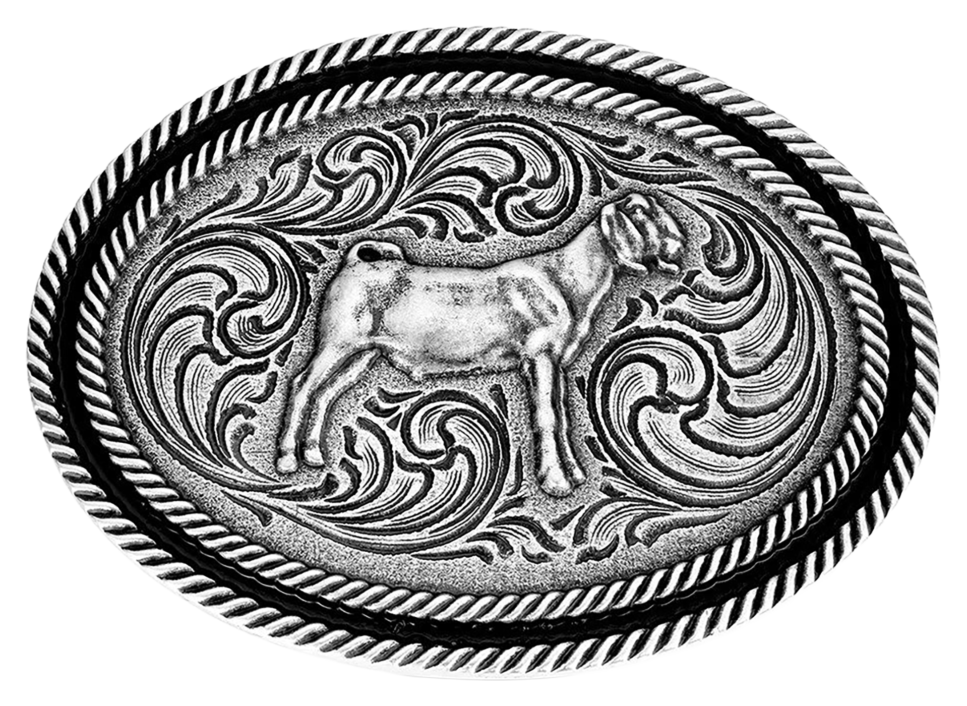 Image of Montana Silversmiths Antiqued Show Goat Belt Buckle