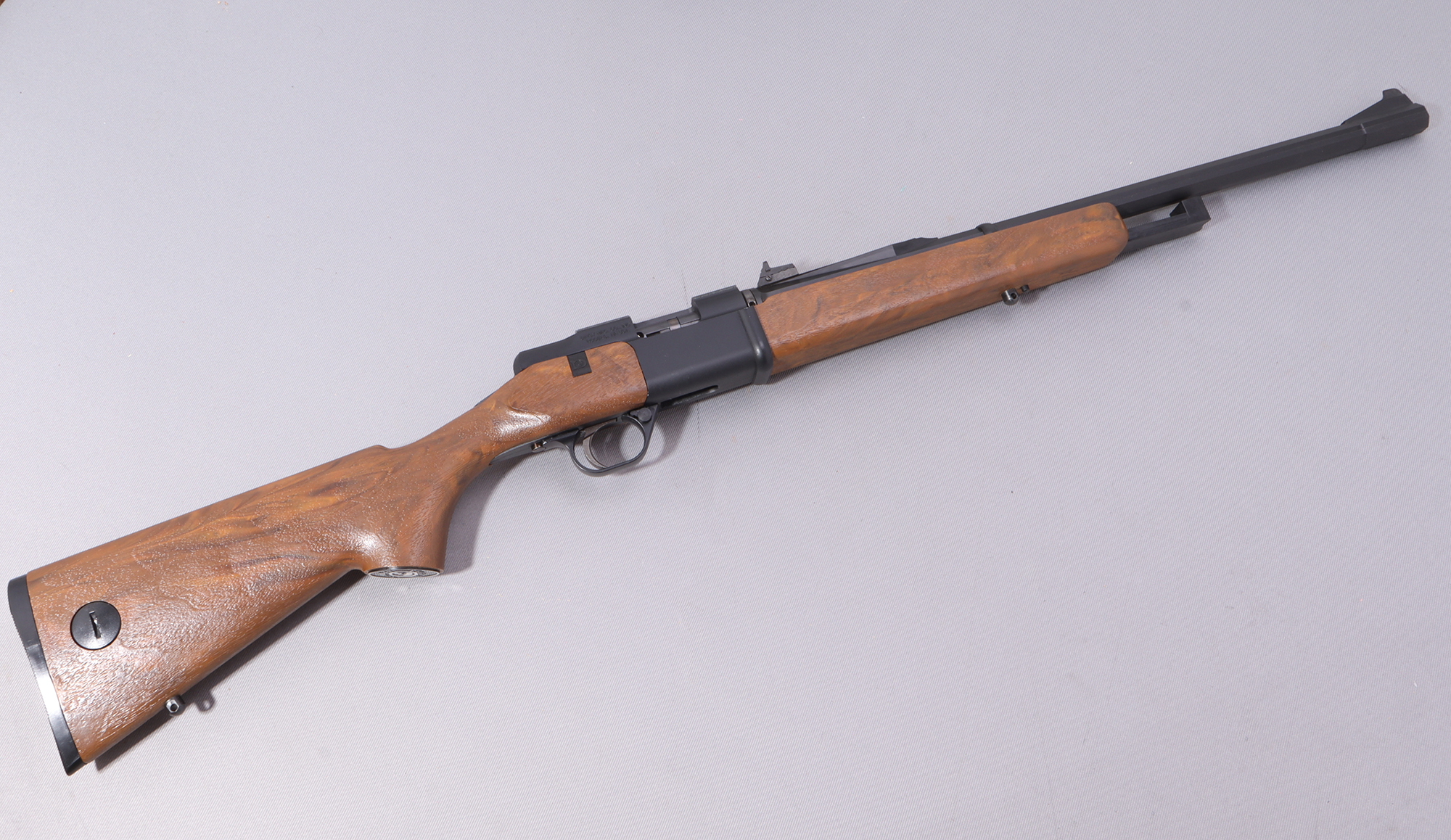 Image of Daisy MFG. ~ 2203 ~ 22 LR