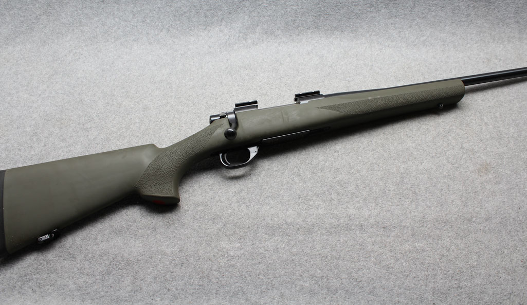 Image of Howa ~ 1500 ~ .243 Winchester