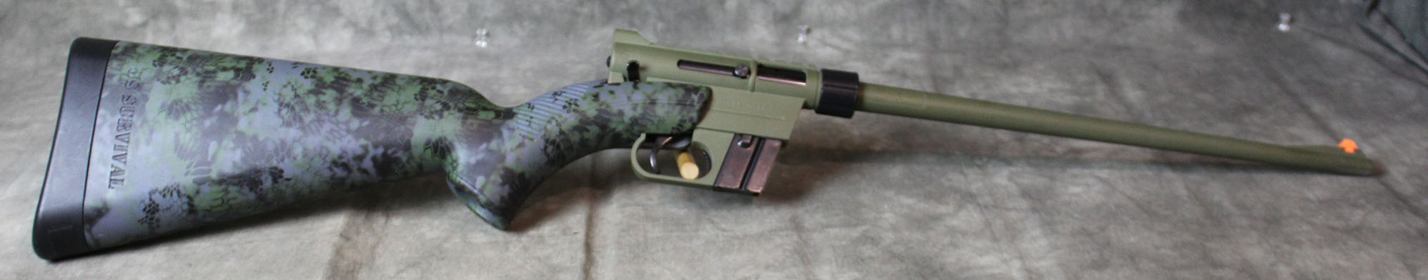 Image of Henry ~ H002B US Survival ~ .22