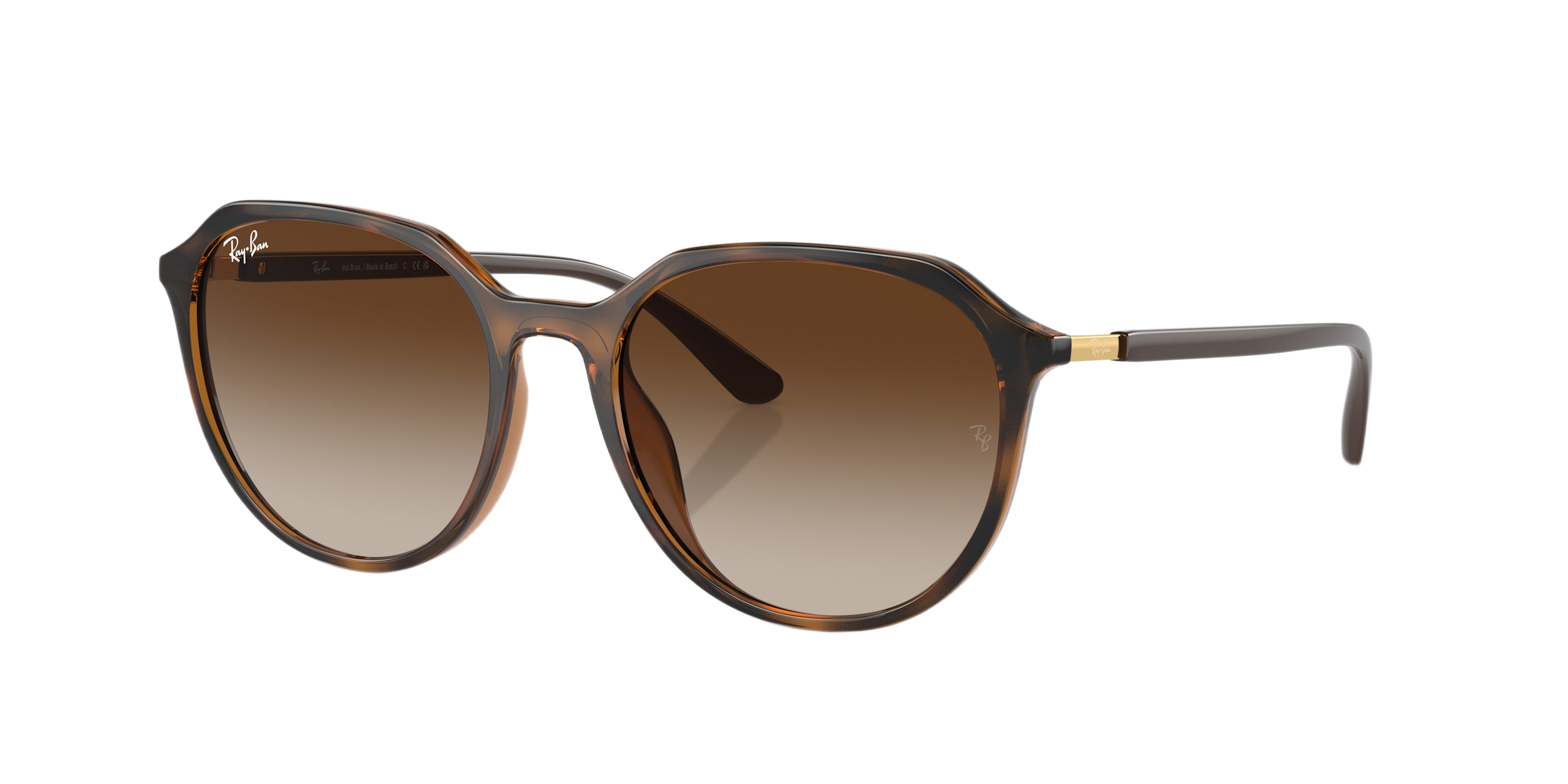 Image of Ray-Ban RB4415L Classic Sunglasses - Dark Havana/Brown Gradient