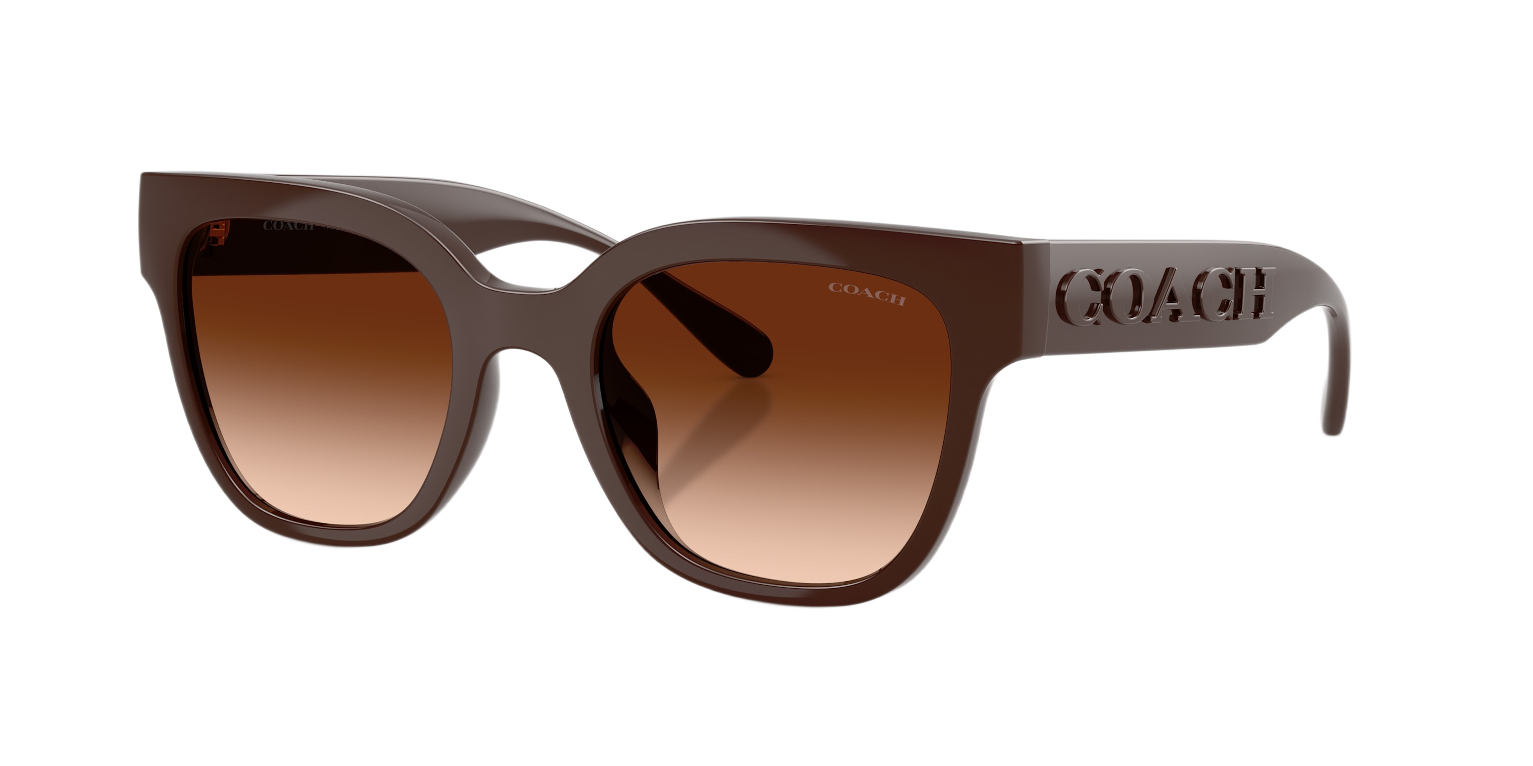 Image of Coach CFT88 HC8460U Gradient Sunglasses - Pecan/Brown Gradient