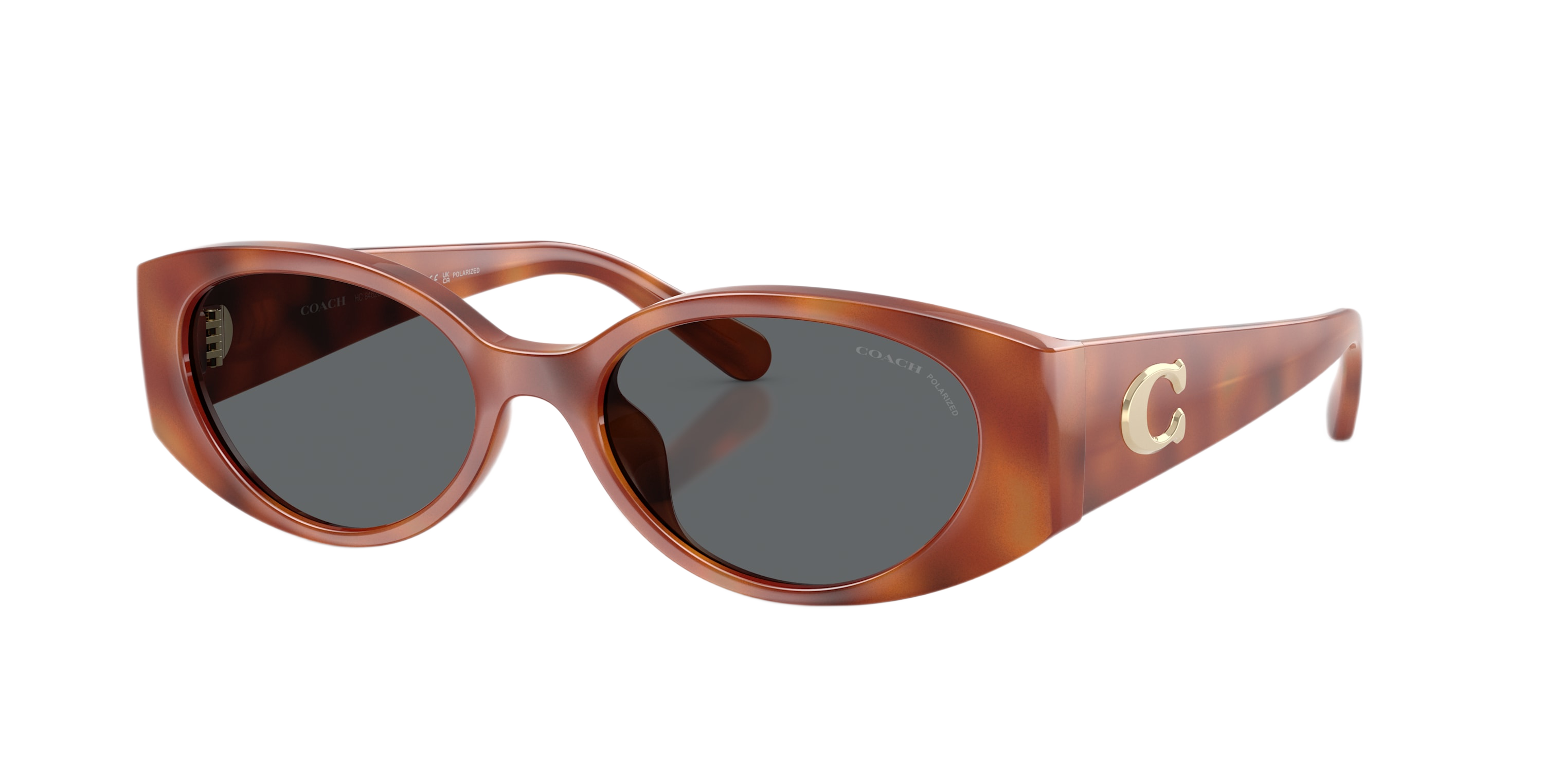 Image of Coach CFu06 HC8462U Polarized Sunglasses - Caramel Tortoise/Gray - Large