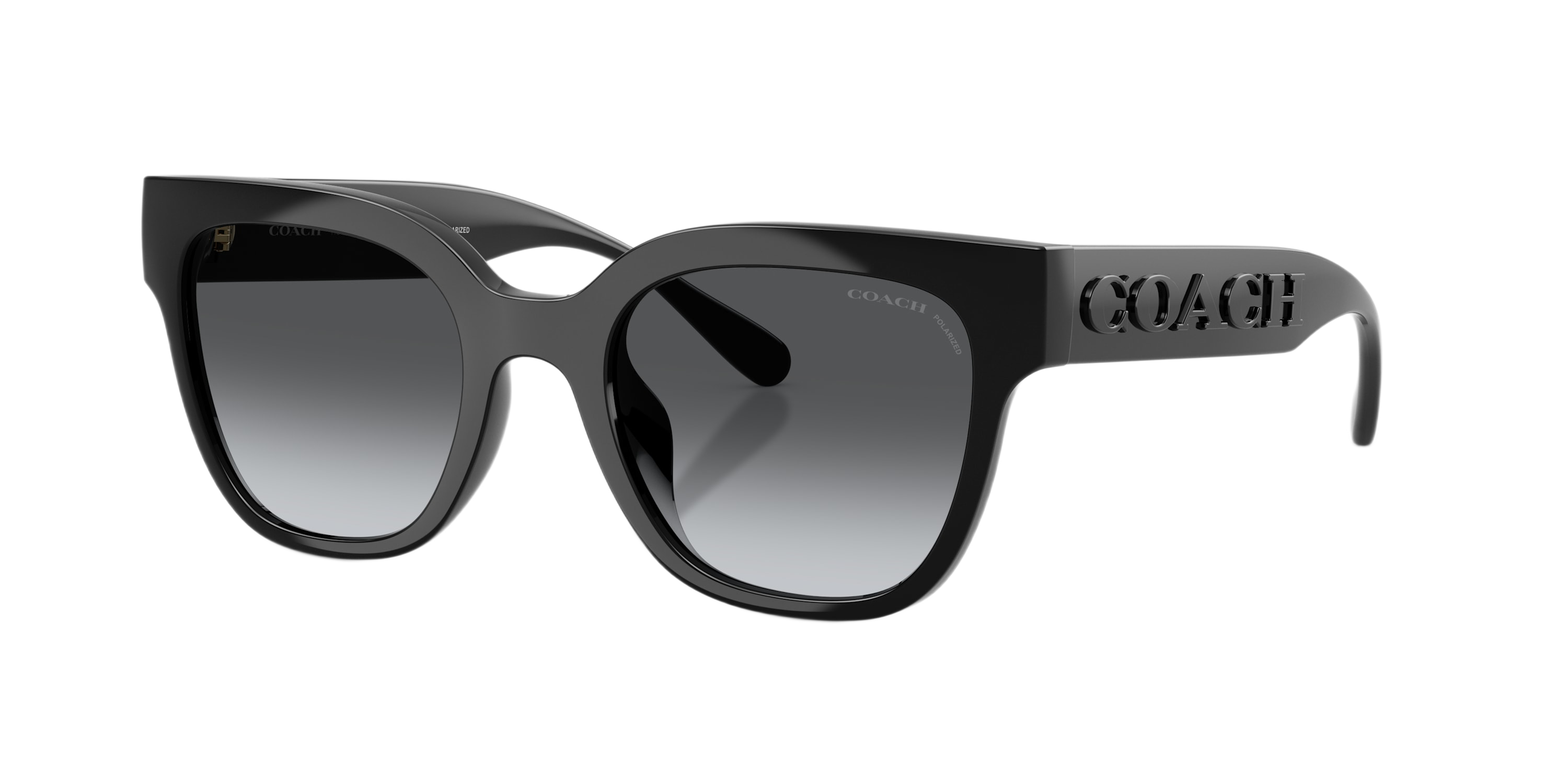 Image of Coach CFT88 HC8460U Polarized Gradient Sunglasses - Black/Gray Gradient - Medium