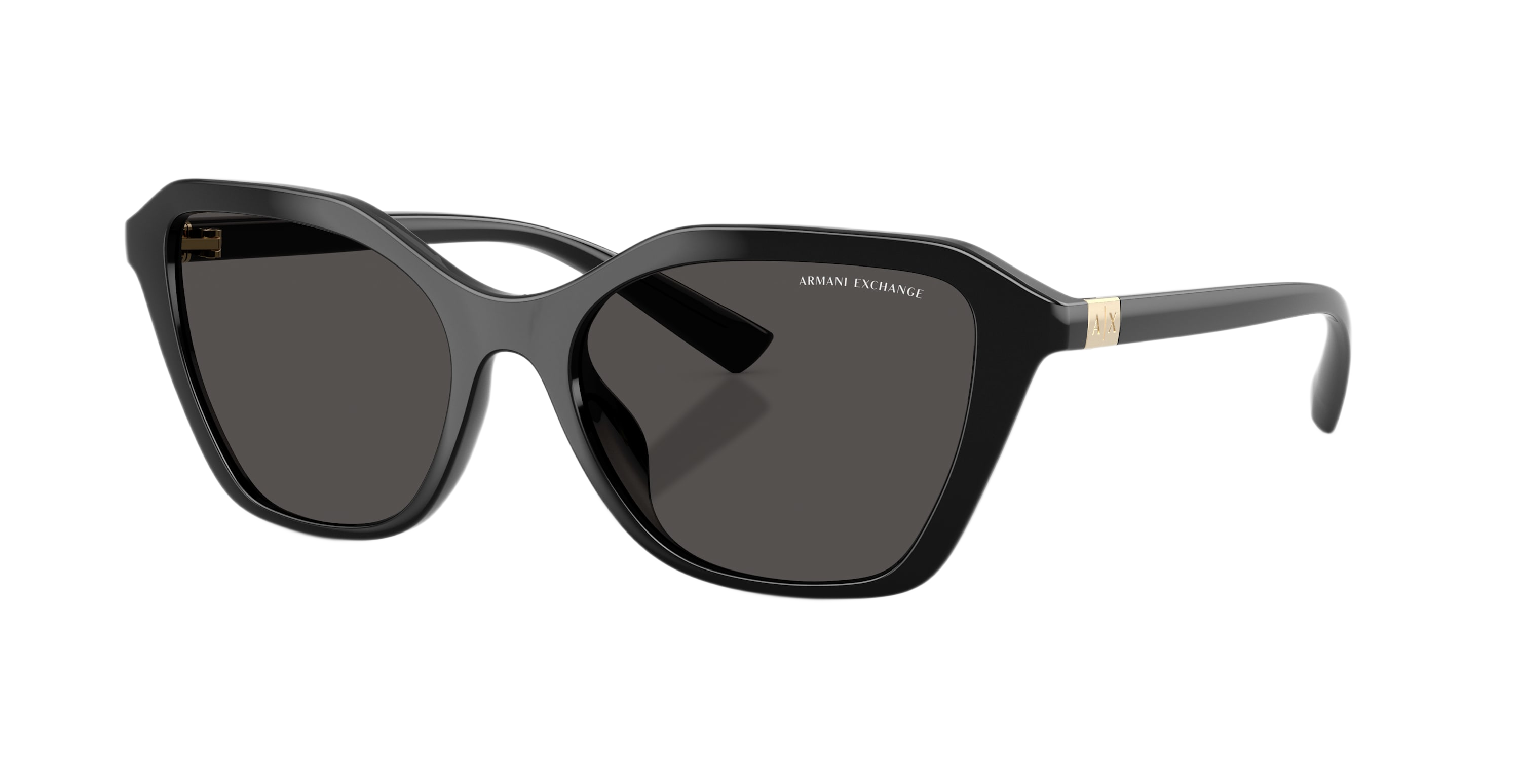Image of Armani Exchange AX4173Su Sunglasses - Shiny Black/Dark Gray