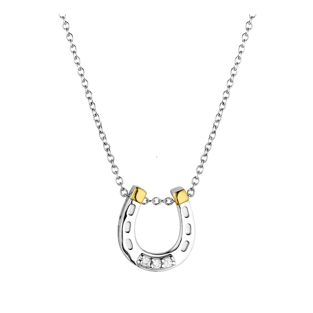 Image of Montana Silversmiths Lucky Harmony Necklace