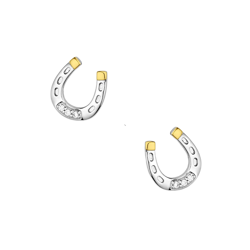 Image of Montana Silversmiths Lucky Harmony Earrings