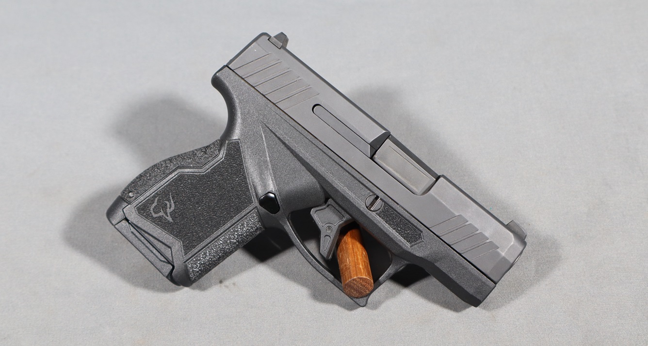 Image of Taurus~GX4~9mm Luger