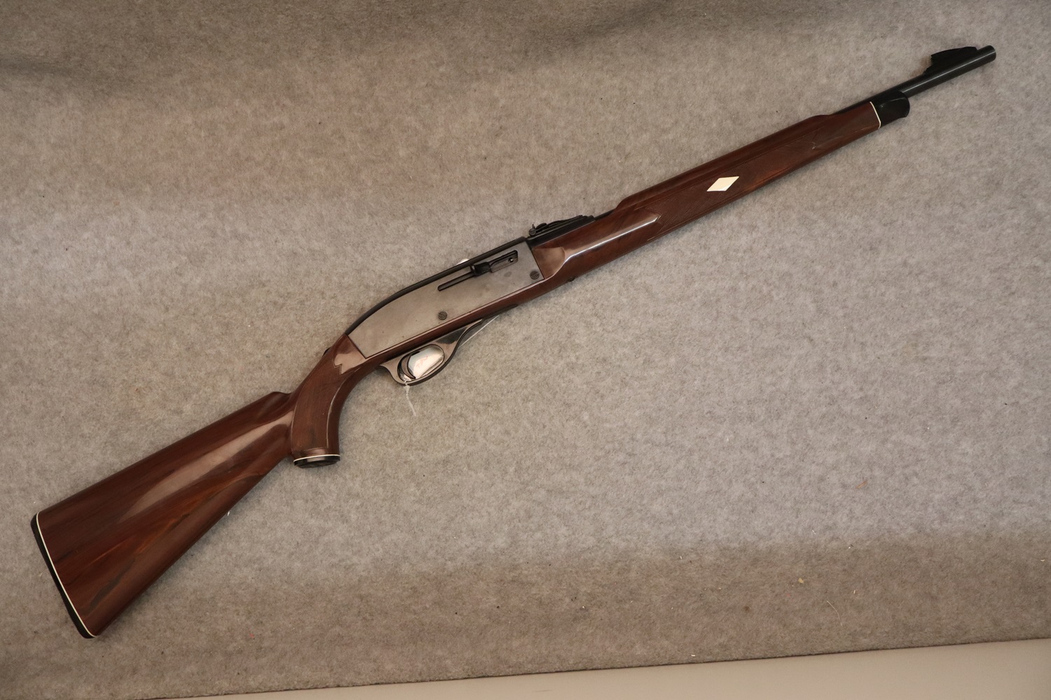 Remington ~ Nylon 66 ~ .22 LR - Remington