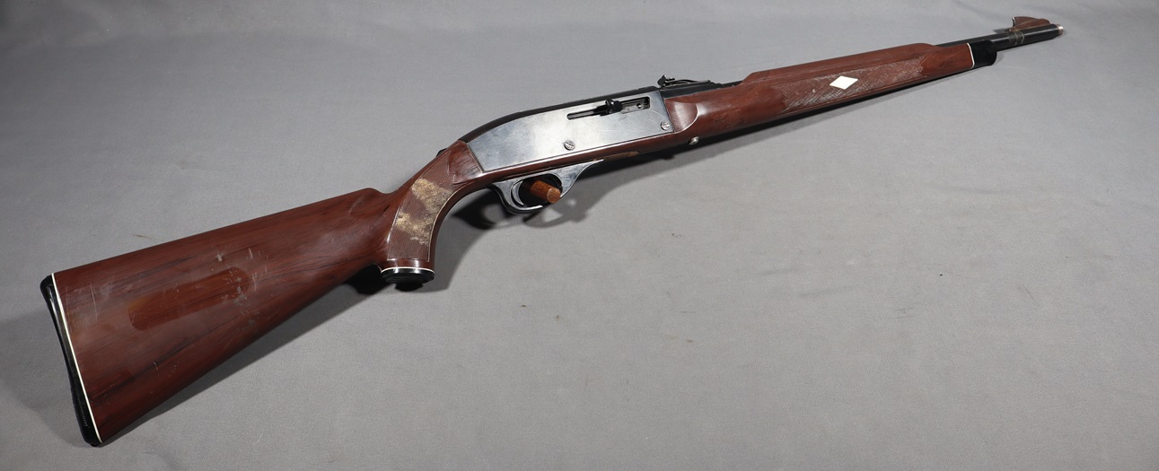  Remington~Nylon 66~.22 Long Rifle - $699.99 at Bass Pro Shops