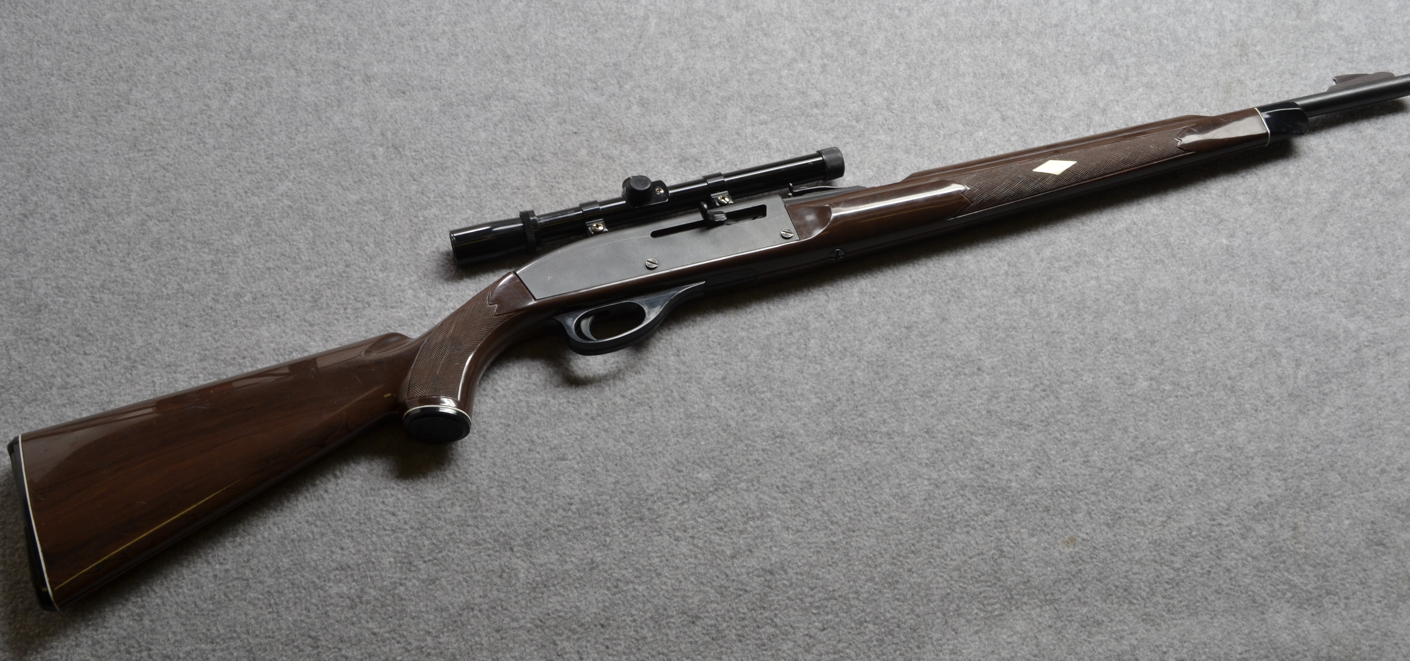 Remington~Nylon 66~.22 LR. - Remington