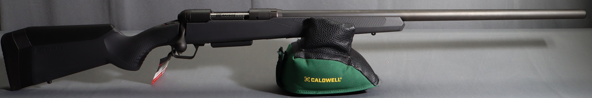 Image of Savage ~ 110 ~ .22-250 Remington