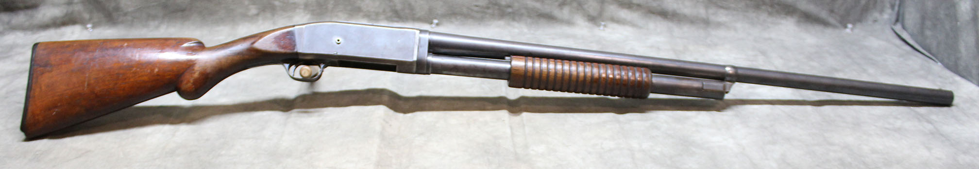 Image of Remington ~ 31 ~ 12