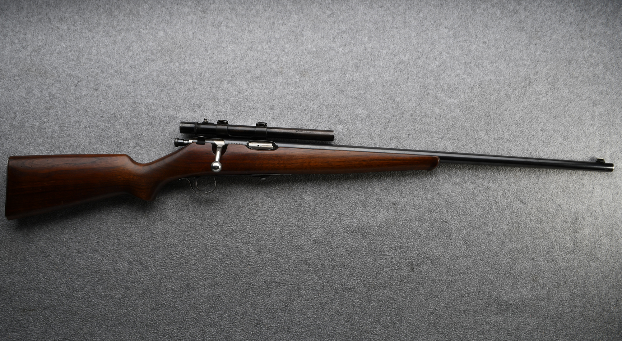 Savage ~ Sporter ~ .22LR - Savage Arms