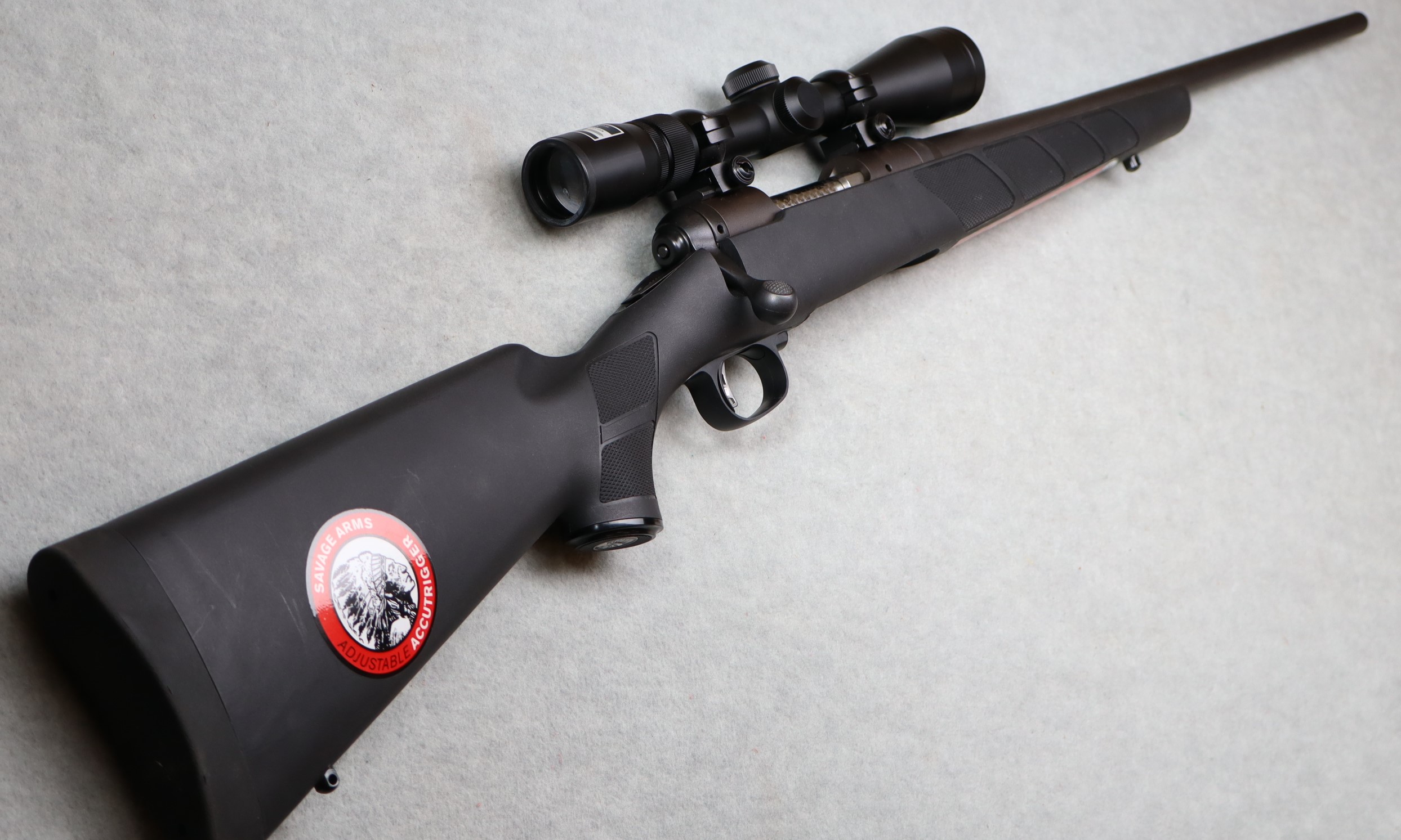 Savage ~ Model 11 ~ .204 Ruger - Savage Arms
