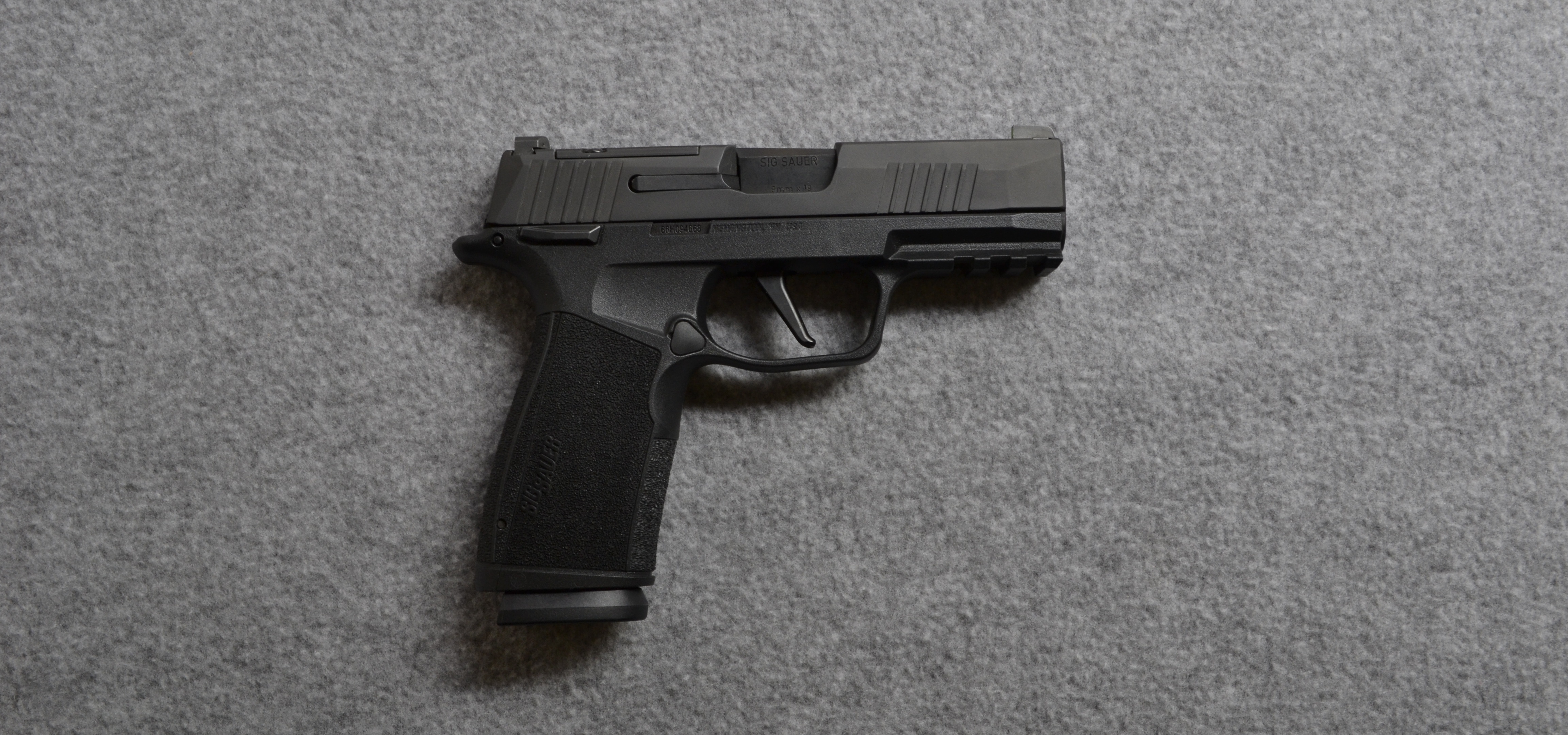 SIG Sauer~P365~9MM - Sig Sauer
