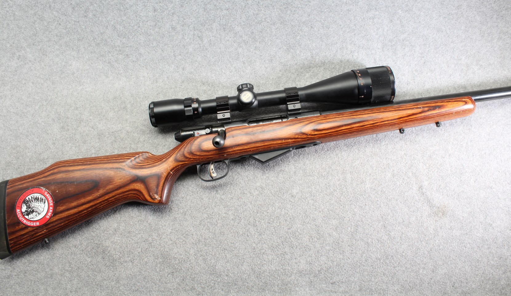 Savage ~ M-25 ~ .17 Hornet
